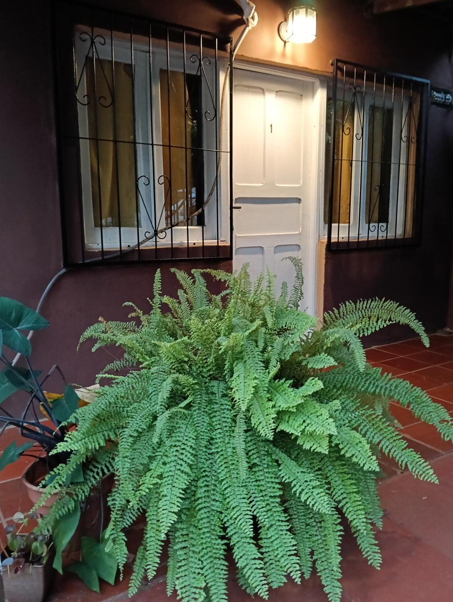 Residencial Los Pinos Porto Iguaçu Exterior foto